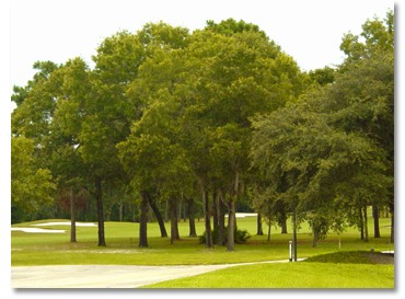 cart path